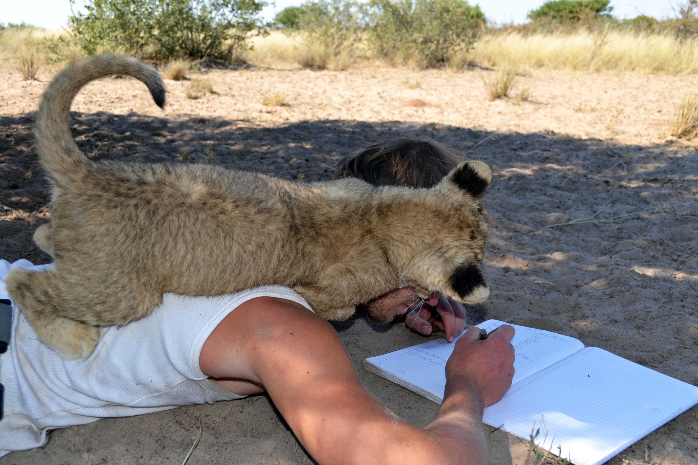 Young Sirga lying across Valentin while he writes in a diary